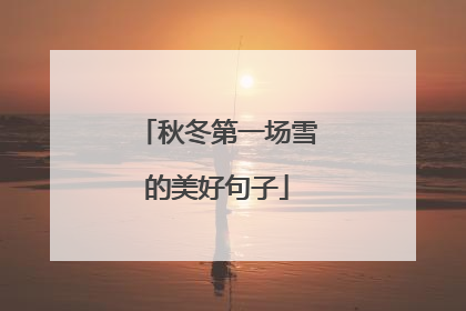 秋冬第一场雪的美好句子