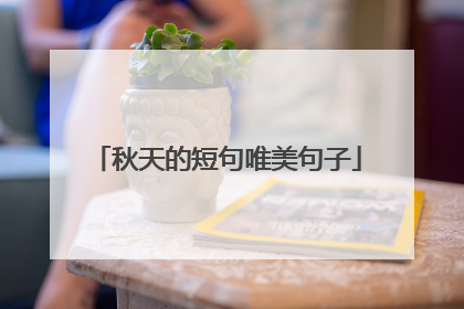 秋天的短句唯美句子