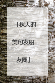 秋天的美句发朋友圈