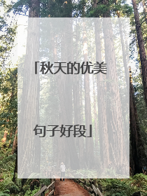 秋天的优美句子好段