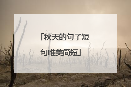 秋天的句子短句唯美简短