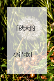 秋天的小诗歌