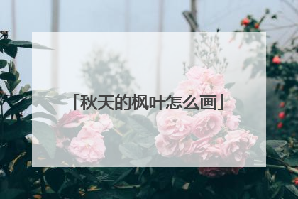 秋天的枫叶怎么画