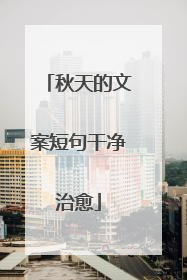 秋天的文案短句干净治愈