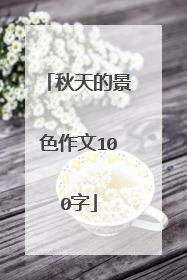 秋天的景色作文100字