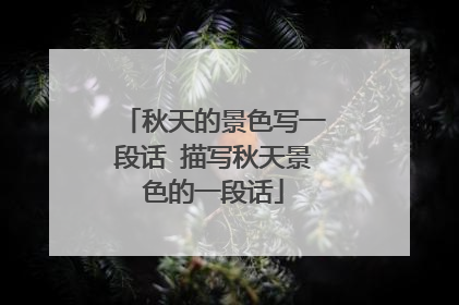 秋天的景色写一段话 描写秋天景色的一段话
