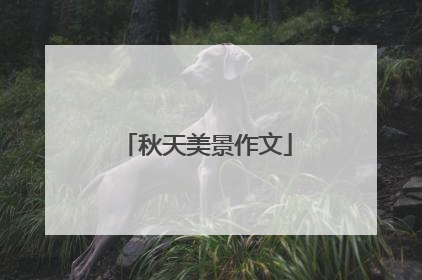 秋天美景作文