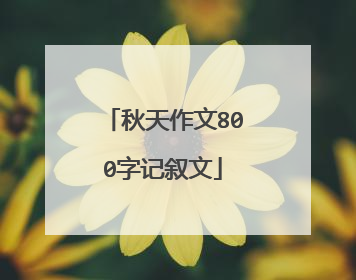 秋天作文800字记叙文