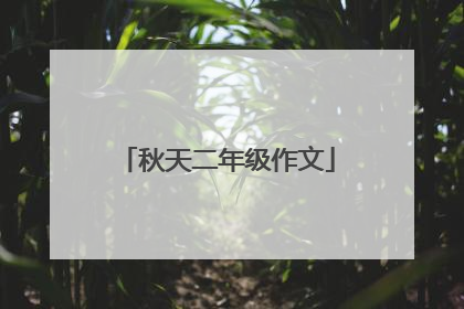 秋天二年级作文