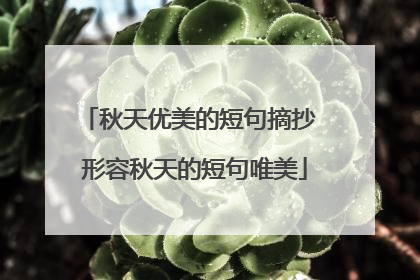 秋天优美的短句摘抄 形容秋天的短句唯美