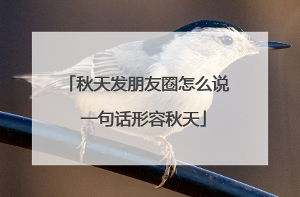 秋天发朋友圈怎么说 一句话形容秋天