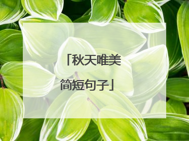 秋天唯美简短句子