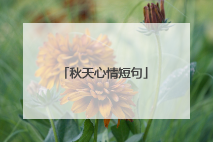 秋天心情短句