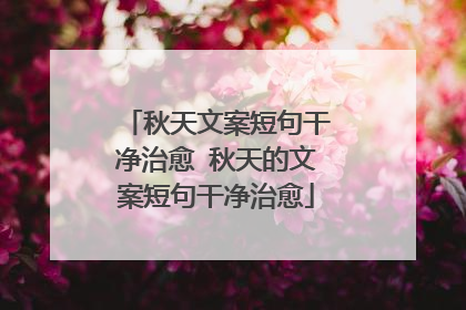 秋天文案短句干净治愈 秋天的文案短句干净治愈