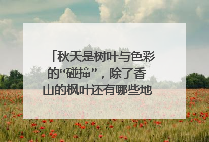 秋天是树叶与色彩的“碰撞”,除了香山的枫叶还有哪些地方的树叶美的让人移不开眼?