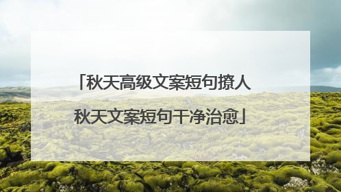 秋天高级文案短句撩人 秋天文案短句干净治愈