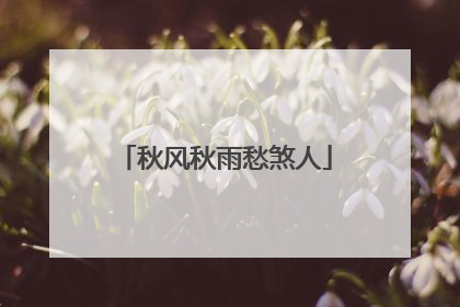 秋风秋雨愁煞人