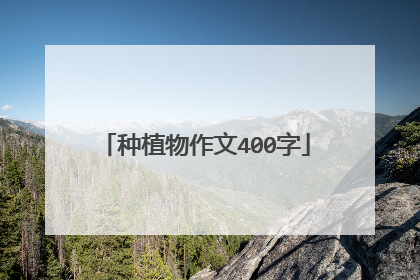 种植物作文400字