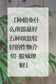 种植业什么前景最好五种前景较好的作物介绍-股城理财