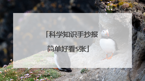 科学知识手抄报简单好看5张