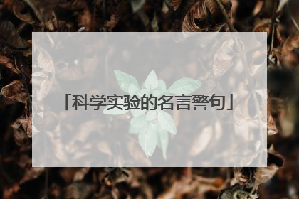 科学实验的名言警句