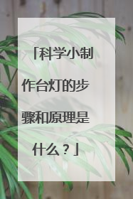 科学小制作台灯的步骤和原理是什么?