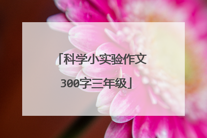 科学小实验作文300字三年级