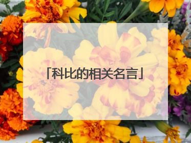 科比的相关名言