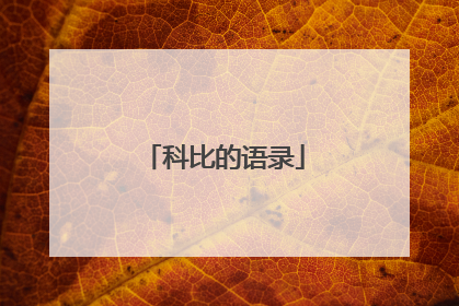 科比的语录