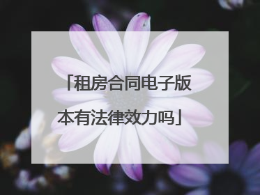 租房合同电子版本有法律效力吗