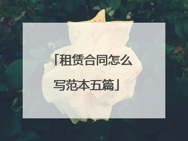 租赁合同怎么写范本五篇