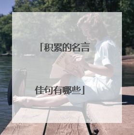 积累的名言佳句有哪些