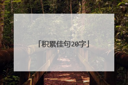 积累佳句20字