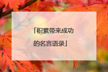 积累带来成功的名言语录