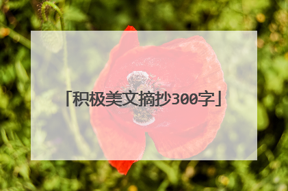 积极美文摘抄300字
