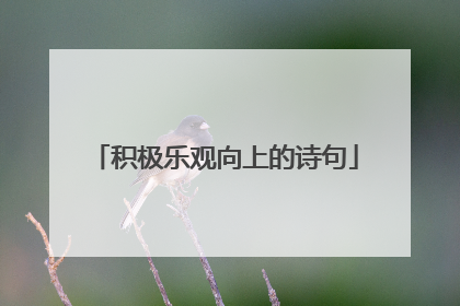 积极乐观向上的诗句