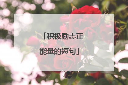 积极励志正能量的短句
