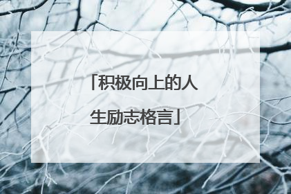 积极向上的人生励志格言