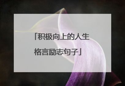 积极向上的人生格言励志句子