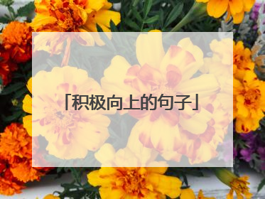 积极向上的句子