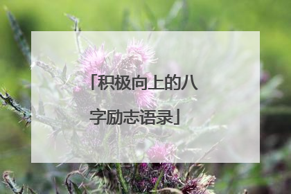 积极向上的八字励志语录