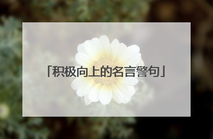 积极向上的名言警句