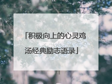 积极向上的心灵鸡汤经典励志语录