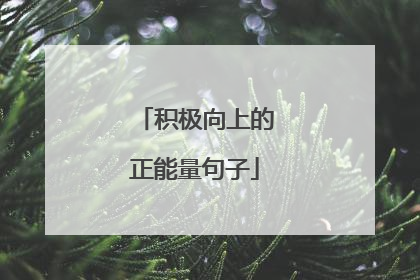 积极向上的正能量句子