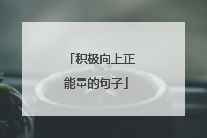 积极向上正能量的句子