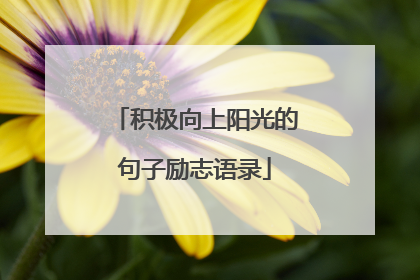 积极向上阳光的句子励志语录