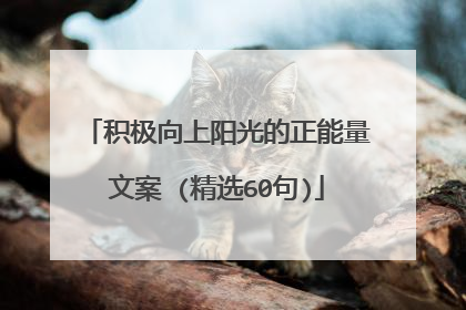 积极向上阳光的正能量文案 (精选60句)