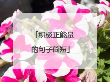 积极正能量的句子简短