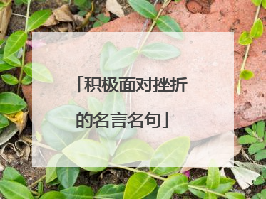 积极面对挫折的名言名句