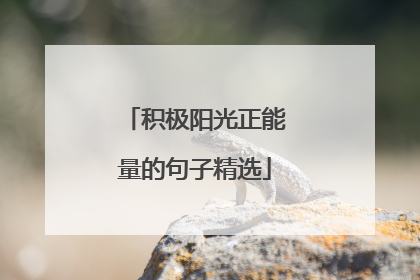 积极阳光正能量的句子精选